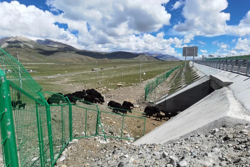 World’s Highest Expressway Opens to Traffic2