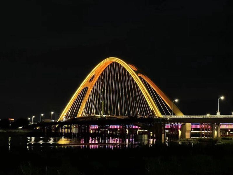 图为舜江大桥夜景