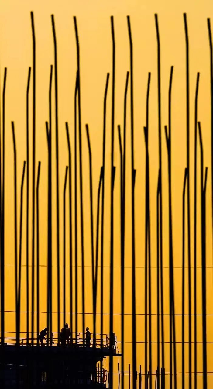 412b5d81339f631befbdf8eea2ffc7c.jpg