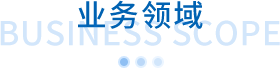 业务领域