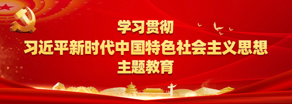 学习贯彻习近平新时代中国特色社会主义思想主题教育