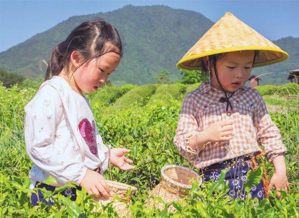 六一 5月27日至28日，中铁四局建筑公司物机设备分公司组织企业员工及子女到安徽宣城开展“传承古城非遗文化 携手 ‘童’建幸福家庭”六一亲子主题系列活动。在旌德路西空中茶园，亲子团亲身体验了采茶、制茶的全过程，并现场学习了茶艺知识。 王衡湘 张健 卢勇龙 摄影报道