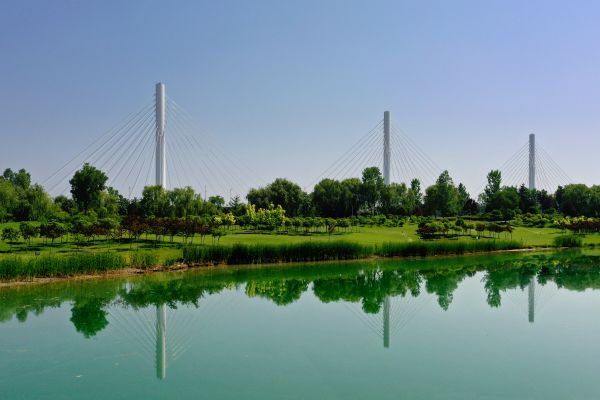 西安沣邑大桥全景