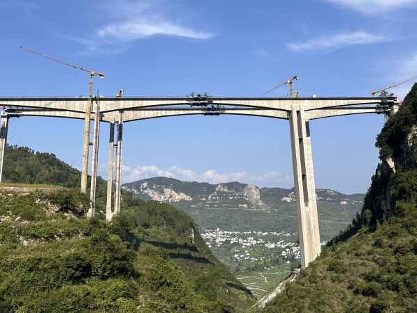 17287931972127168676 - 副本