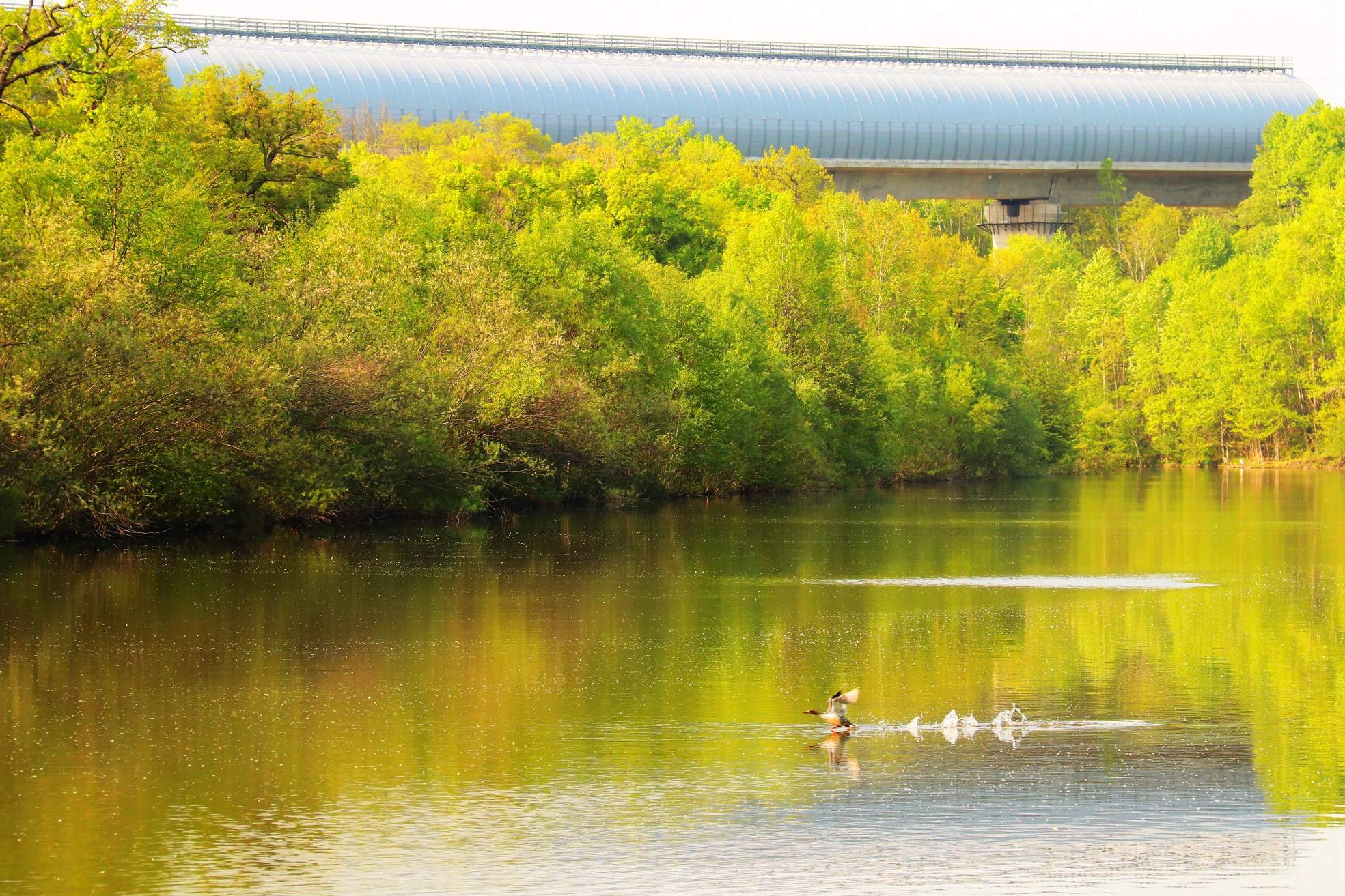 世界地球日：铁肩筑绿 匠心护蓝——中国中铁的生态答卷（二）