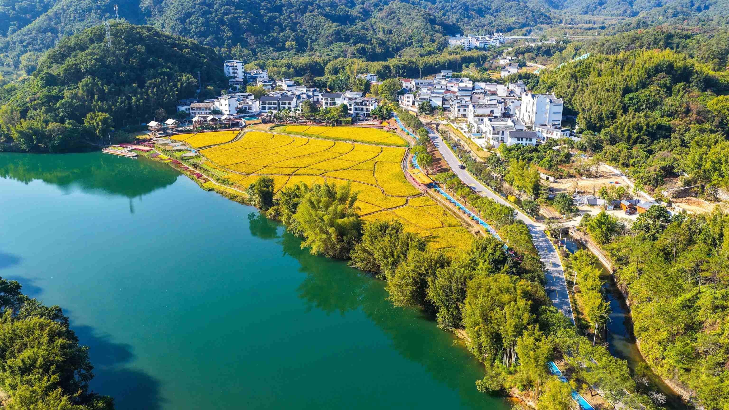 既好看又安全——广州从化“最美旅游公路”交安设施全面升级