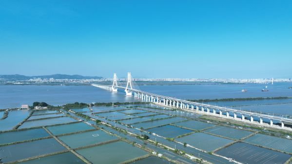 牛田洋特大桥施工现场（提供者：罗阳）1