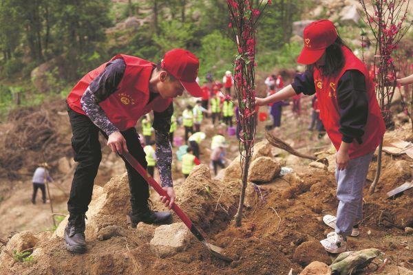 中铁上海局五公司新建柳梧铁路LWZQ-4标项目团支部开展“共植民族团结青年林 同走乡村文旅振兴路”学雷锋植树活动
