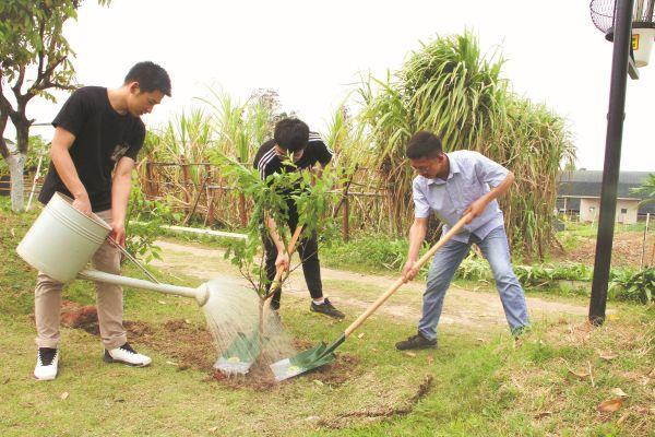 中铁电气化局广州地铁11号线开展“携手公益植树 共建精品工程”植树活动