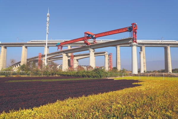 中铁三局线桥公司  金建高铁下穿沪昆高铁架桥情景（王斌彦摄影，18858191758，金建项目部，浙江省金华市婺城区乾西乡泰达路312号）_副本