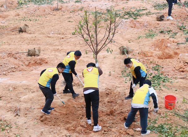 中铁大桥局九公司青年志愿服务队积极投身参与中山市翠亨新区植树活动2